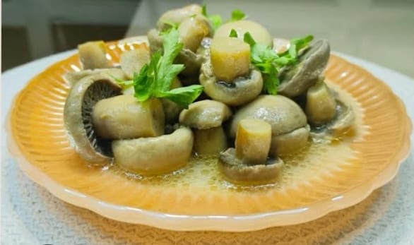 Ekşili mantar